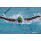 Elk Grove Aquatics Club