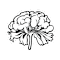 Healing Brainwaves Foundation