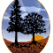 Institute For Sustainable Forestry