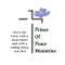 Prince Of Peace International Inc