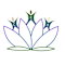 Conscious Kids Association