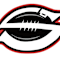The Sarasota Junior Football Association, Inc.