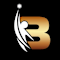 BORN TO BE ALIVE FOUNDATION