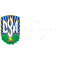 Ukrainian American Youth Association Inc