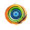 Global Indian Diaspora Foundation NFP