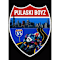 Pulaski Boyz Motorcycle Association - SATX