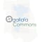 Ogallala Commons Inc