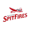 9U Southern Spitfires Baseball Inc