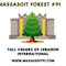 Massasoit Forest #91 Tall Cedars of Lebanon International