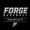 Forge performance athletics