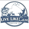 LIVE LIKE CAM