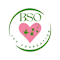 BSO Ivy Foundation Inc