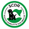 South Charlotte Dog Rescue