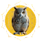 Rui Da Silva Foundation
