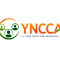 Your Network Caring Community Advocate Inc