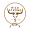 Rico Strong Inc
