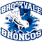 Brookvale Elementary PTA