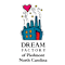 Dream Factory Inc