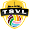 Toronto Spartan Volleyball League
