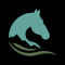 Bow Valley Equine Adaptive