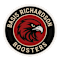 BASIS Richardson Boosters