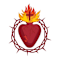 Sacred Heart School Pto Inc