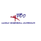 World Baseball Outreach Inc