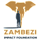 Zambezi Impact Foundation
