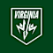 Virginia Roller Derby Network