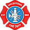 The Saegertown Volunteer Fire Department Inc