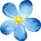The Forget Me Not Gala
