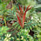 St. Johns Botanical Garden & Nature Preserve