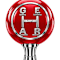 Gear Shift Foundation