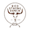 Rico Strong Inc
