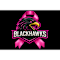 Blackhawks Football Program