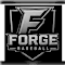 Forge performance athletics