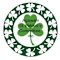 AGAWAM ST PATRICKS COMMITTEE INC
