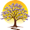 Jacaranda Foundation