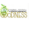 Sowing Seeds Of Goodnees Inc