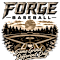Forge performance athletics