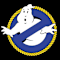 Great Falls Ghostbusters