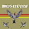 Bird's Eye View Fellowship, Inc.