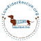 Low Rider Dachshund Rescue Of Florida Inc