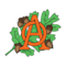 Oakes Ames Memorial Hall Association