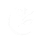 La Lune Teahouse