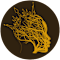 crown roots foundation
