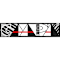 Coalition For African Americans In The Performing Arts Inc
