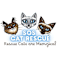SOS Cat Rescue