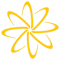 Luminary Learning Network