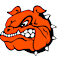 Brighton High School Sanp